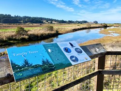 PHOTO BY MEG WALL-WILD - An interpretive panel shows signs of visitation from the avian hotel residents as the waters of Salmon Creek reflect a beautiful November sky.