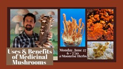 Uses & Health Benefits of Medicinal Mushrooms - Uploaded by Levon Durr