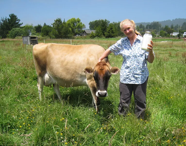 Urania Hunter buys her raw milk from the owner of Daisy Mae, of a Humboldt County pasture. - PHOTO COURTESY OF URANIA HUNTER