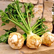Kick it root down: Celery root is a unique root vegetable to try during late spring