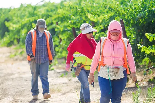AT RISK Essential workers in the fields are at continued risk of COVID-19 infection in San Luis Obispo and Santa Barbara counties. - FILE PHOTO BY JAYSON MELLOM