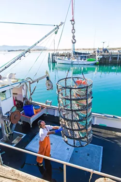 GEAR CONTROVERSY Dungeness crab fishermen say they oppose new legislation that would mandate ropeless gear because it's not effective and it's overpriced. - PHOTO BY JAYSON MELLOM