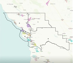 LEGAL MAP? A judge will hear arguments for and against a motion for a preliminary injunction against SLO County's redistricting map on Feb. 10. - MAP COURTESY OF SLO COUNTY