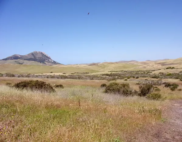 Cuesta School’s ranch teaching programs goal to spice up sustainability in SLO County | Strokes & Plugs | San Luis Obispo