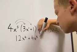 DIFFERENT MATH: Local districts have the new sets of Common Core standards to teach, but are designing their own curriculum to get there. - PHOTO BY KAORI FUNAHASHI