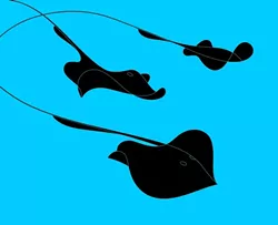 STINGRAYS : A stingray seems to consist of a single elegant flourish, in this minimal graphic illustration by Mignon Khargie.