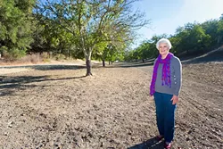MOVING ON: Alison Denlinger formed the Adelaida Area Association a decade ago when the winery next door to her, Opolo Vineyards, began expanding. Denlinger eventually sold her property to the owners of Opolo, including this swath of walnut trees. - PHOTO BY KAORI FUNAHASHI