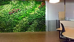 SHOW ME THE GREEN: Z Living Systems Living Walls + Design was created by Cal Poly Entrepreneurship graduates Robert Zachs and Jasmine McDermott. The duo got a bit of help from SLO HotHouse and its Accelerator Program, which gifted the pair seed money, mentorship, and more. - PHOTO COURTESY OF JASMINE MCDERMOTT
