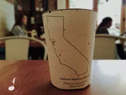 LET IT GROW: For his senior project at Cal Poly, Alex Henige has developed a prototype of a biodegradable, plantable coffee cup that contains seeds of around 20 native California flora. - PHOTO COURTESY OF ALEX HENIGE