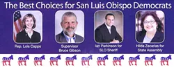 READ THE FINE PRINT : Registered Democrats have been receiving mailed fliers that at first glance appear to be from the Democratic Party, but endorse Republican candidates.