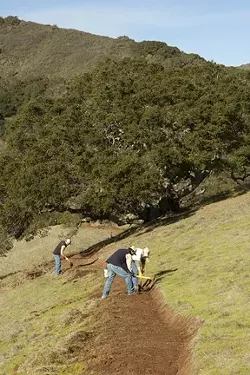 ON THE PATH : Local park rangers are building a new public trail to connect the popular Johnson Ranch to city-owned open space in the Irish Hills. - PHOTO BY STEVE E. MILLER