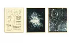 NONPAREIL TRIPTYCH : “They are all things we can't see with the naked eye,” said Sutcliffe of Making the invisible, visible. “One is neutrons in a cloud chamber... the other is microscopic parts of plants ... again, representations of things, or different ways we describe something visually.” - IMAGES COURTESY OF LESLIE SUTCLIFFE