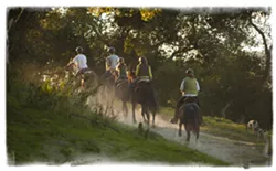 HOW MUCH LONGER? : Riders and their horses take advantage of the wide open country of Price Canyon. - STEVE E. MILLER
