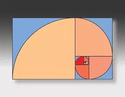 GOLDEN RECTANGLE : By Fred Ventura - IMAGE BY FRED VENTURA