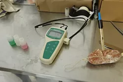 24: : After two days of drying, the pH of the salamis is checked to make sure they’re fermenting correctly.