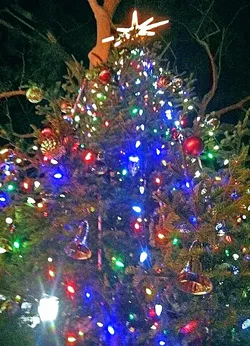 O TANNENBAUM : A 20-foot cedar tree planted in September will be decorated and then relocated after the holiday due to complaints that it’s blocking views of the mission. - FILE PHOTO BY GLEN STARKEY