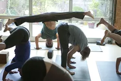 WHERE THE SUN DOES SHINE: Peter Sterios (pictured, in headstand) leads an early-morning yoga class at his studio, m.Body Yoga & Massage. - PHOTO BY STEVE E. MILLER