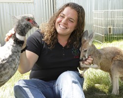FRIENDS :  Zoo to You curator Angela Boelk communes with &ldquo;Dennis Hopper&rdquo;, a red kangaroo, and &ldquo;Stanley Screamer&rdquo;, an Argentinian crested screamer. - PHOTO BY STEVE E. MILLER