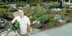 TENDING NATURE : Todd Davidson holds a “California Lilac,” Ceanothus “Blue Cloud.” - PHOTO BY STEVE E. MILLER