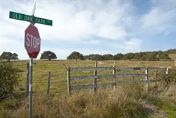 LITTLE PISMO : If all is planned, this plot of land could be enveloped into the city of Pismo Beach and developed. But locals and some county officials say there aren’t enough resources to support the houses, golf course, and convention center developers have planned. - PHOTO BY STEVE E. MILLER