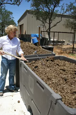 DIRTY DEEDS: SLO County Worm Farm Owner Christy Christie checks the temperature of her compost bin, comprised of dairy cow manure and green waste. Once ready, the organic matter will become fodder for her beneficial worm population. - PHOTO BY HAYLEY THOMAS
