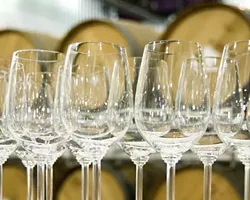 PHOTO COURTESY OF WORLD OF PINOT NOIR
