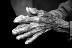 HANDS : - PHOTO BY VINCENT SHAY