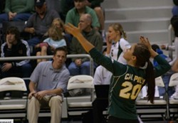 IN THE ZONE :  Caitlin Suttich serving at a Cal Poly women&rsquo;s volleyball match, before she left the team in 2009. - PHOTO COURTESY OF CAITLIN SUTTICH