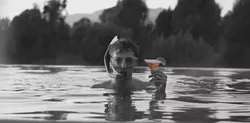 MUCH ADO ABOUT NOTHING : Joss Whedon’s noir updating of the Shakespeare comedy, self-financed and shot on a break from The Avengers, hits theaters June 7. - PHOTO BY ELSA GUILLET, COURTESY OF ROADSIDE ATTRACTIONS
