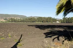 FOR SALE : The 131-acre property in unincorporated San Luis Obispo County—ground zero in a 2005 annexation battle and a subsequent ballot initiative to develop the land—has been put up for sale by its owner, prominent rancher Ernie Dalidio, for nearly $20 million. - PHOTO BY STEVE E. MILLER