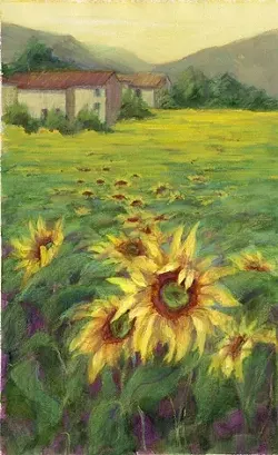 SUNFLOWER FIELD : - IMAGE BY TRICIA REICHERT