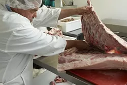 3: : Antonio separates the ribs from the rest of the meat to begin processing parts for the salami and sausage production and for regular cuts for his restaurant. The Creston Valley Meat slaughterhouse uses a rifle with a copper bullet to slaughter the pigs that are brought directly from Antonio’s ranch. The fat around the ribs is used to make soup and the meat becomes handmade sausages. Almost no part goes to waste.
