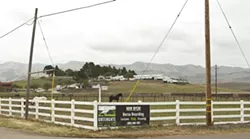 OLD RANCH LEARNS NEW TRICKS : The new owners of Green Gate Farms, a 210-acre site in Edna Valley, want to transform the once-renowned equestrian facility into a vacation destination with a museum, permanent farm stand, vineyard, and frequent events. - PHOTO BY STEVE E. MILLER