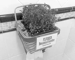 FLUSHED BOTANICAL GARDEN : Nothing Happened Here—specifically Catherine and her daughter Cruz—established a botanical garden in a restroom at the Madonna Inn. - PHOTO COURTESY OF NOTHING HAPPENED HERE
