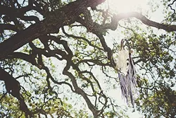 TEMPLETON MAGIC: Nestled in the wilds of Templeton, Beaverstock is as much about food, wine, and beer as it is about community, kids, music, and the natural world. Youth can even explore a 300-year-old oak tree while their parents dance or learn a few yoga moves. - PHOTO COURTESY OF CASTORO CELLARS