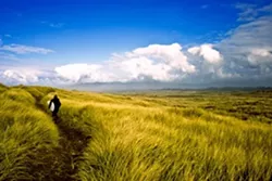 THE ROAD LESS TRAVELLED: - PHOTO BY CHRIS BURKARD