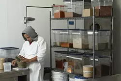 10: : Specific spices are added to the different types of salamis to create different flavors.