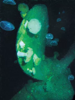 JELLY & BLADE : Jellyfish examine the ship’s propeller blade. - PHOTO BY ROBERT SCHWEMMER, NOAA