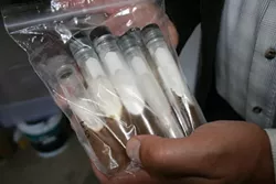 MIGHTY MYCELIUM: Aboreal Bounty Fine Gourmet Mushrooms owner Jiri Pravec holds up his precious master cultures. Within these expensive glass tubes lives the specific mycelium (or vegetative part of the mushroom) which will eventually lead to a cluster of caps. - PHOTO BY HAYLEY THOMAS