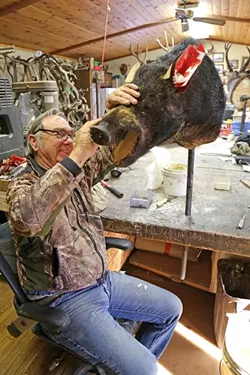 DON’T MOVE A HAIR: Pinning the hide/skin to the form in many different places ensures that it stays in the proper place. - PHOTO BY DYLAN HONEA-BAUMANN