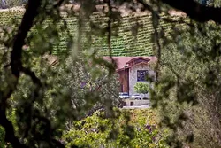 KING OF THE HILL : Halter Ranch Vineyard recently received a permit to add more events and to expand its facilities, including a second, wine club members-only, tasting room behind its existing facilities. - PHOTO BY KAORI FUNAHASHI