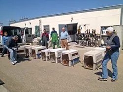 HELP ALL OVER : Sea lions from Southern California hospitals were moved north to Marine Mammal Center facilities that had more room. Some animals on the move recently stopped at the San Luis Obispo triage facility (pictured).