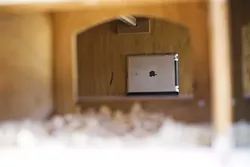 CHICKEN CAM: Jeff and Cathy installed a motion activated chicken cam to keep track of who’s laying. - PHOTO BY GLEN STARKEY