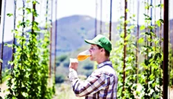 BROTHERS TALENTED: Toro Creek Brewing Company founder Brendan Cosgrove employed the talents of his brothers Caleb McLaughlin, brewmaster, and Kyle Batoor-Cosgrove, farmer, to create Toro Creek Farms. The operation produces organic hops, - bushels of fresh barley, and a range of herbs, veggies, and citrus on the family-owned land. - PHOTO BY DUMMIT PHOTOGRAPHY