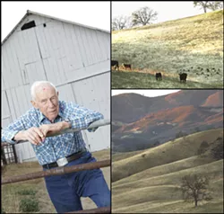 ROOTED IN RANCHING : At 92, family patriarch Jim Sinton continues to take an active interest in the past, present, and future management of the vast Avenales Ranch in eastern SLO County. - PHOTOS BY STEVE. E. MILLER