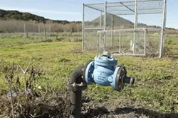 PLUGGED : Facing a contaminated water supply, limited infrastructure, and a bleeding budget, Morro Bay water officials want to shut down the Ashurst well field, including Well 10A (pictured) and all water services to 11 surrounding homes. - PHOTO BY STEVE E. MILLER