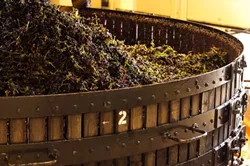 STOP THE PRESSES: Laetitia Vineyards and Winery uses a traditional labor-intensive “Méthode Champenoise” method of sparkling wine production, just as Champagne makers do in Champagne, France. More proof of their dedication can be found in the winery’s two coquard basket presses (pictured), the only pair of their kind in North America. - PHOTO COURTESY OF LAETITIA WINERY