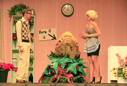 HERE IT IS! : Timid florist Seymour (Ryan Cordero) hopes his botanical discovery will win him the affections of his coworker Audrey (Jennifer Malman) in Little Shop of Horrors. - PHOTO BY SANDRA CORTEZ