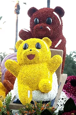 DETAILS! : Hundreds of thousands of red, yellow, and orange mums were attached by volunteers to the float, which also included a variety of other flowers. - PHOTO BY TOM ZASADZINSKI; COURTESY OF CAL POLY SLO & POMONA