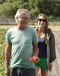EDIBLE EARTH JEWELS : Ralph Johnson and his apprentice farmer Racquel Oropeza have a small plot that produces a generous crop of strawberries for the various local farmers markets. - PHOTOS BY STEVE E. MILLER